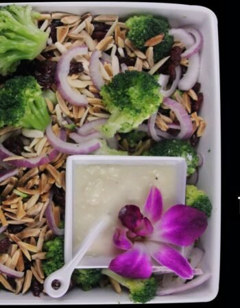 Toss It – Gourmet Salad Bar