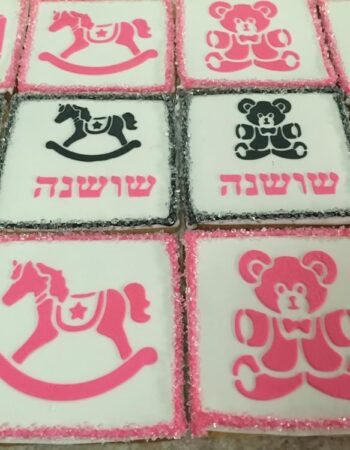 One Smart Cookie (Brocha Rapaport)