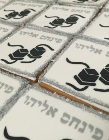 One Smart Cookie (Brocha Rapaport)