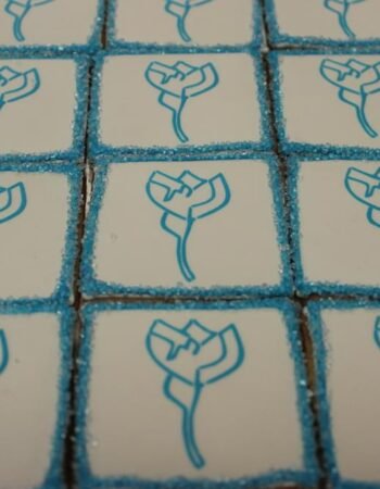 One Smart Cookie (Brocha Rapaport)