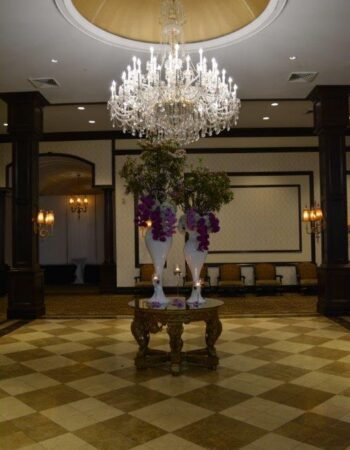 Hostess International