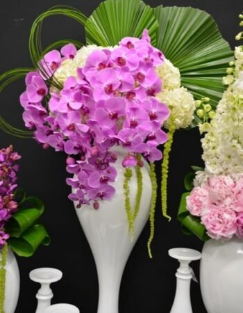 Hostess International