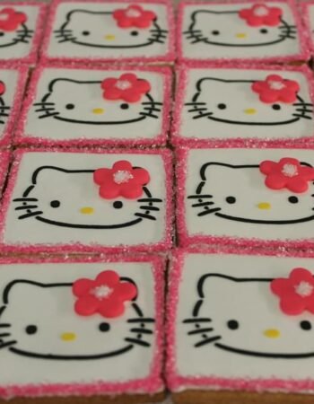 One Smart Cookie (Brocha Rapaport)