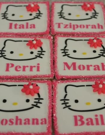 One Smart Cookie (Brocha Rapaport)