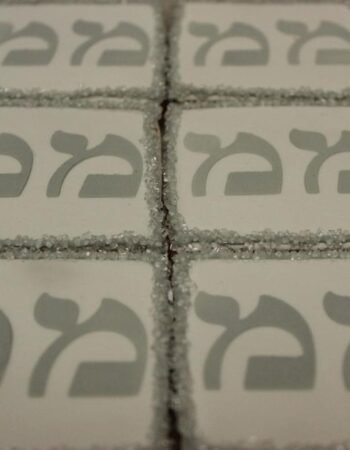 One Smart Cookie (Brocha Rapaport)