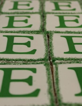 One Smart Cookie (Brocha Rapaport)