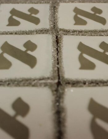 One Smart Cookie (Brocha Rapaport)