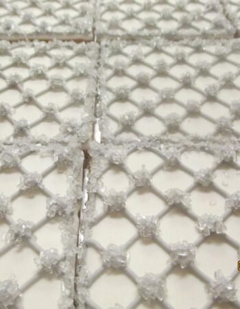 One Smart Cookie (Brocha Rapaport)