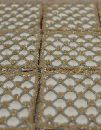 One Smart Cookie (Brocha Rapaport)