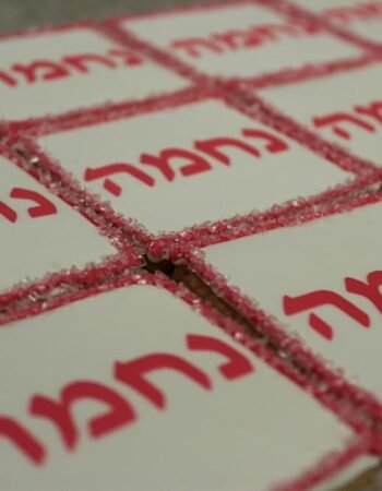 One Smart Cookie (Brocha Rapaport)