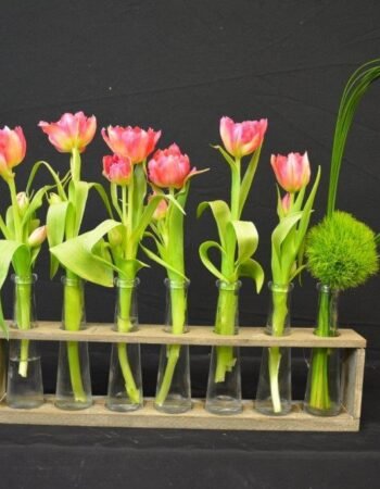 Hostess International