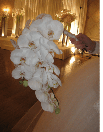 Hostess International