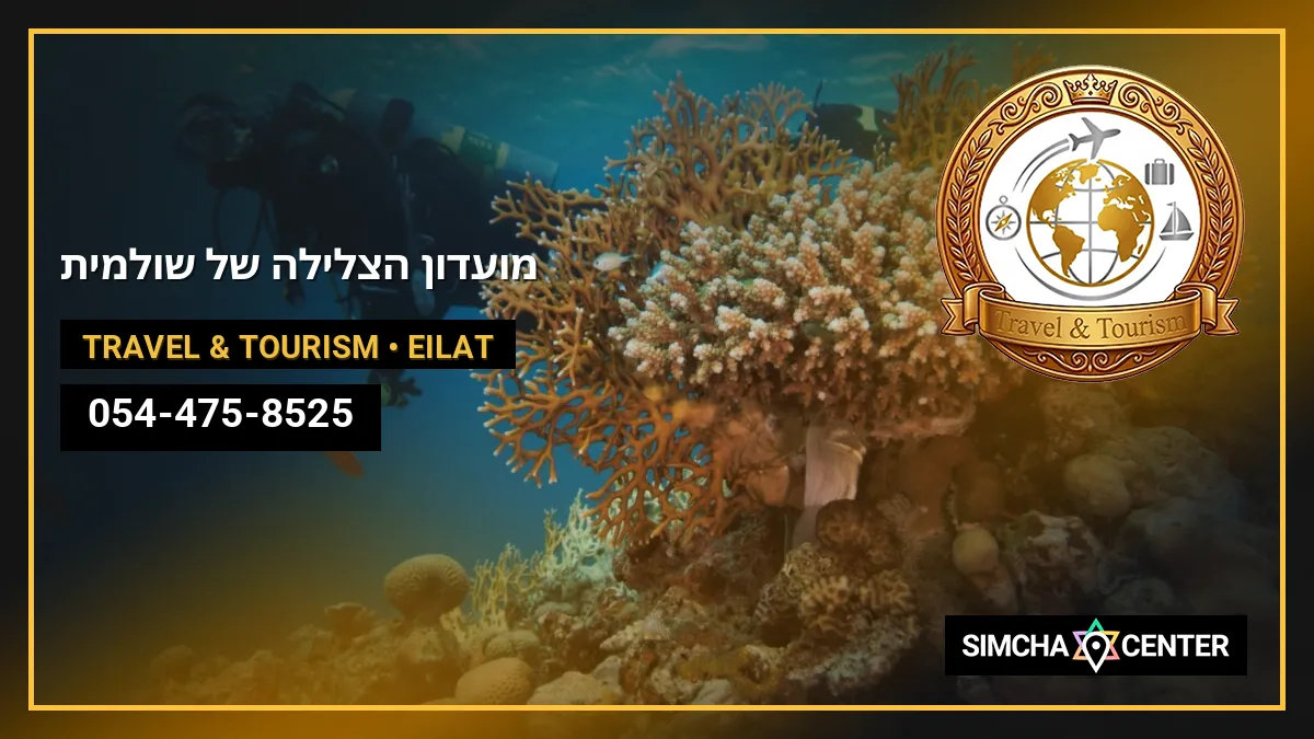 מועדון הצלילה של שולמית — Travel & Tourism